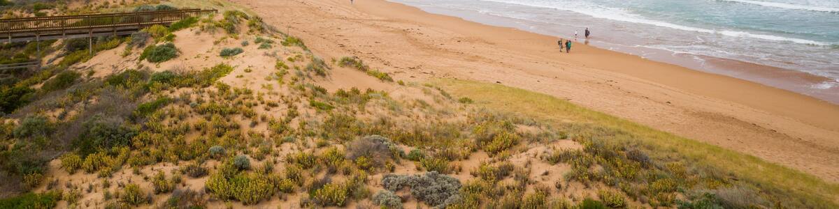Waitpinga Beach which includes general coastal views and a beach