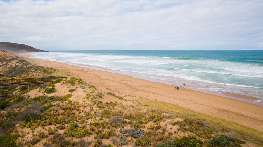 Waitpinga Beach which includes general coastal views and a beach