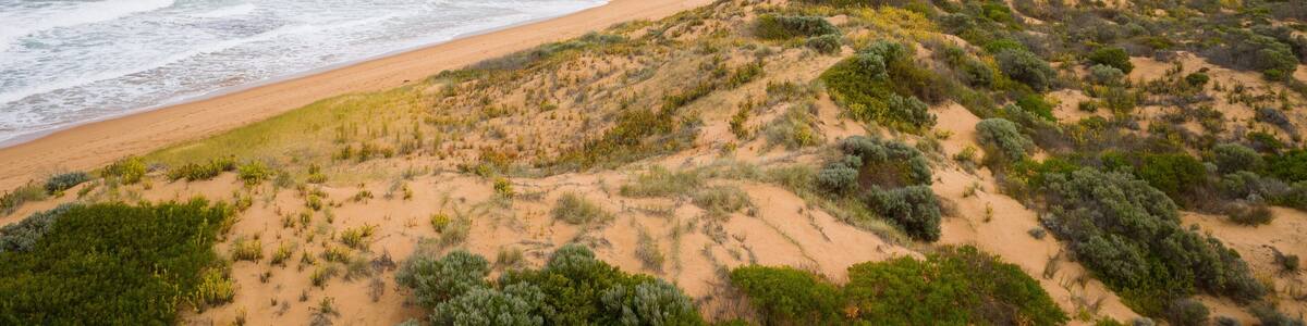 Un paysage côtier caractérisé par une plage de sable, des dunes et une végétation clairsemée.