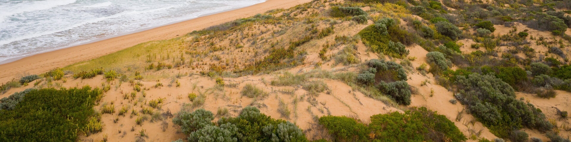 A coastal landscape with a sandy beach, dunes, and sparse vegetation.