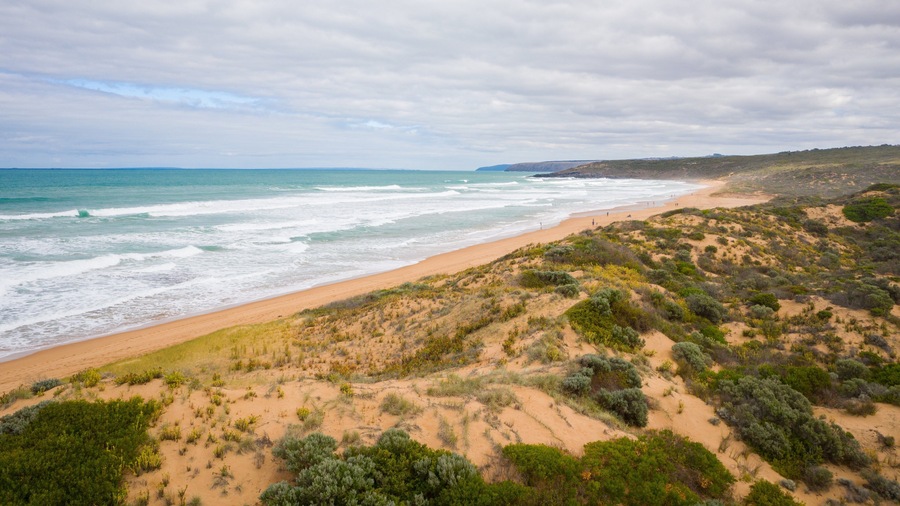 A coastal landscape with a sandy beach, dunes, and sparse vegetation.