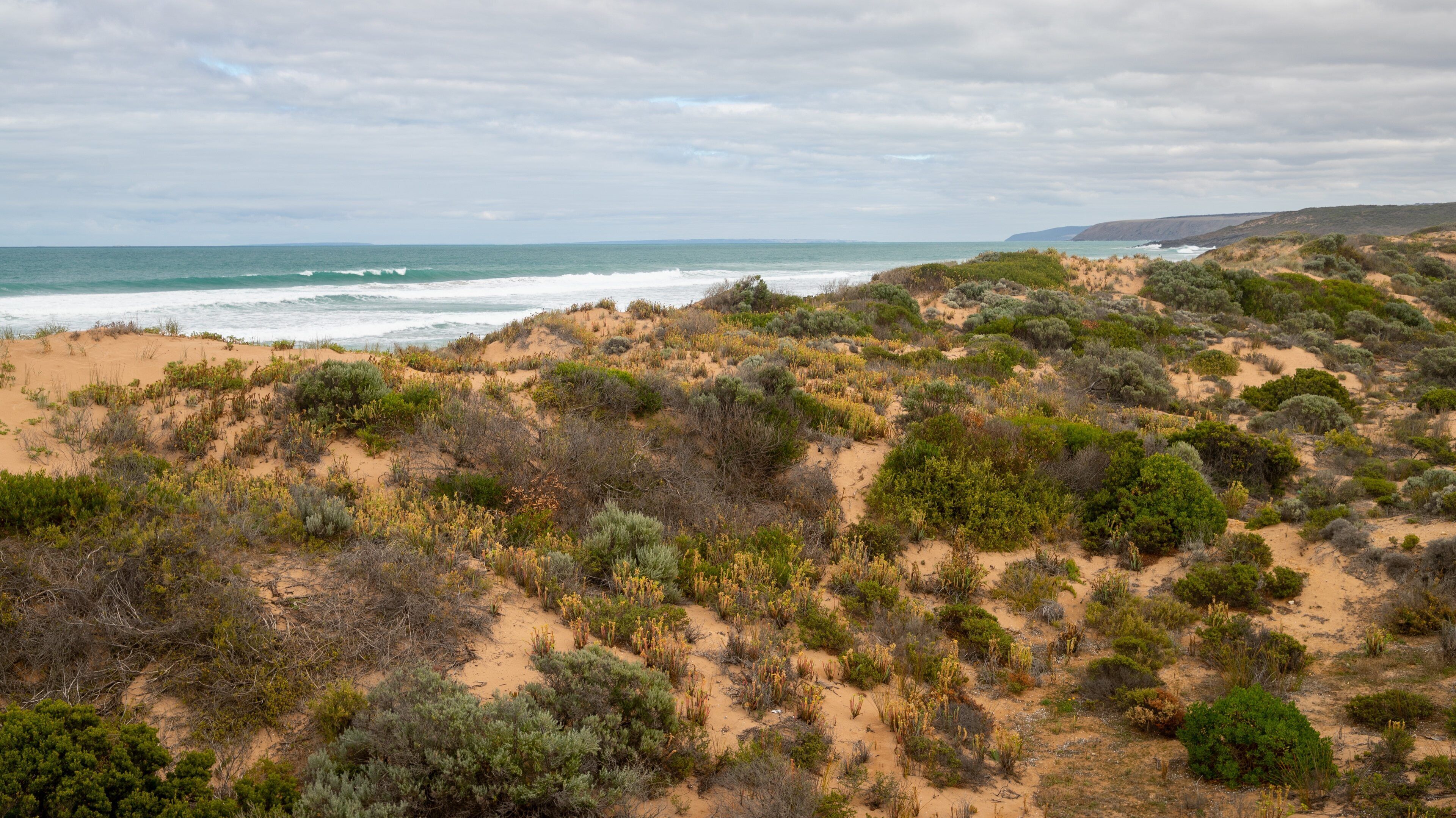 Waitpinga Beach showing general coastal views and a beach