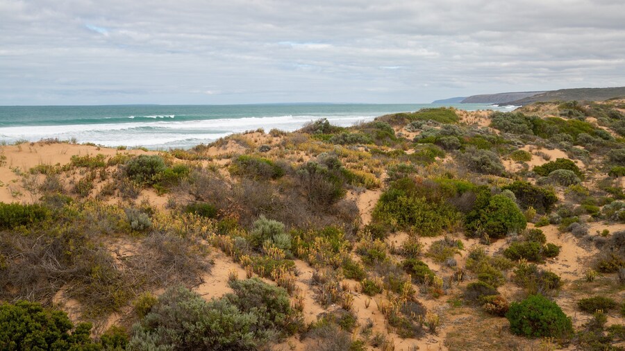 Waitpinga Beach showing general coastal views and a beach