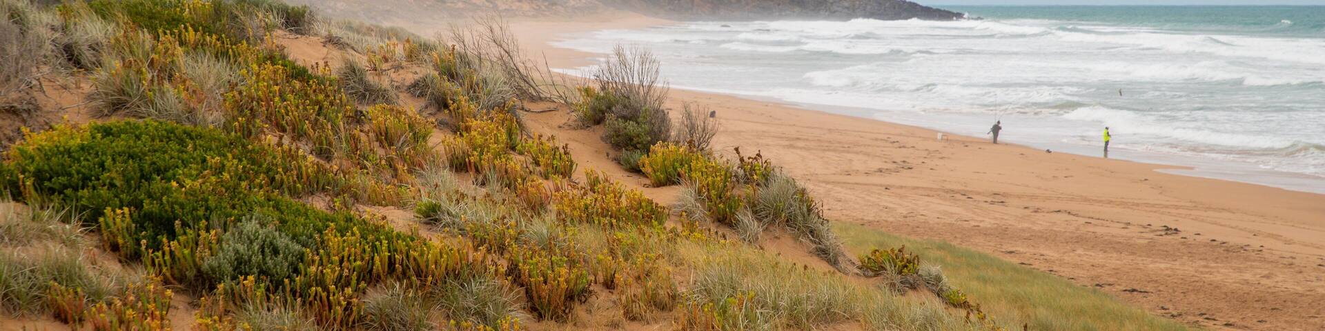 Waitpinga Beach which includes a sandy beach and general coastal views