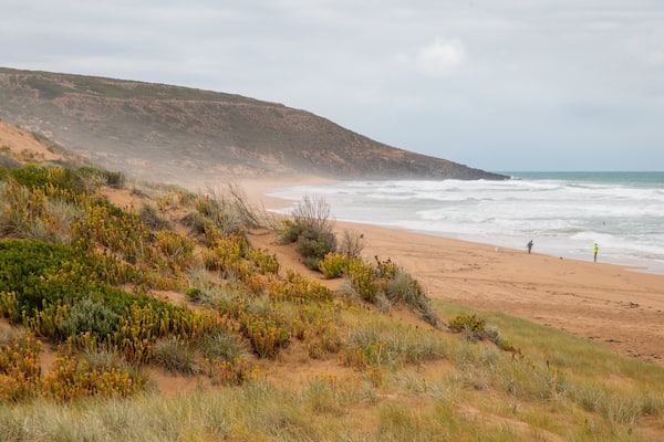Waitpinga Beach which includes a sandy beach and general coastal views
