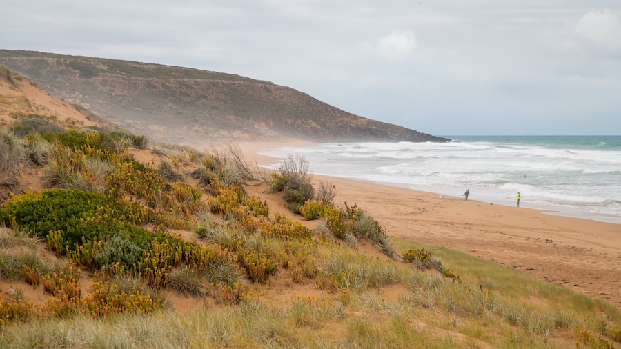 Waitpinga Beach which includes a sandy beach and general coastal views