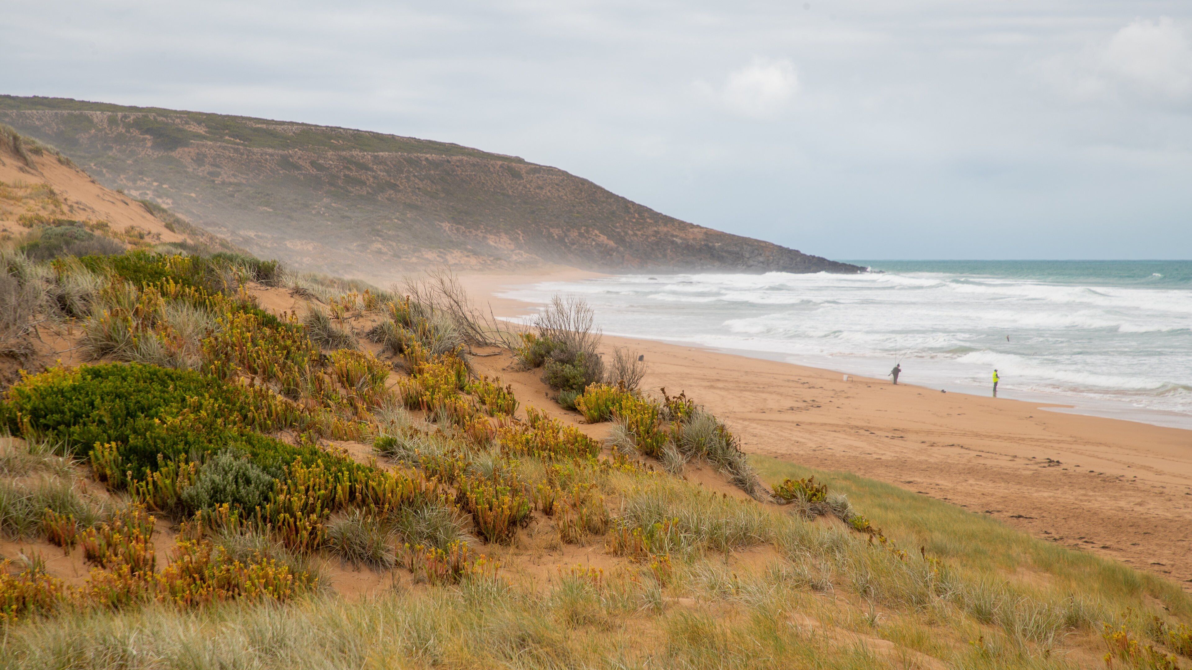 A coastal landscape with a sandy beach, green shrubs, and a rocky hillside.