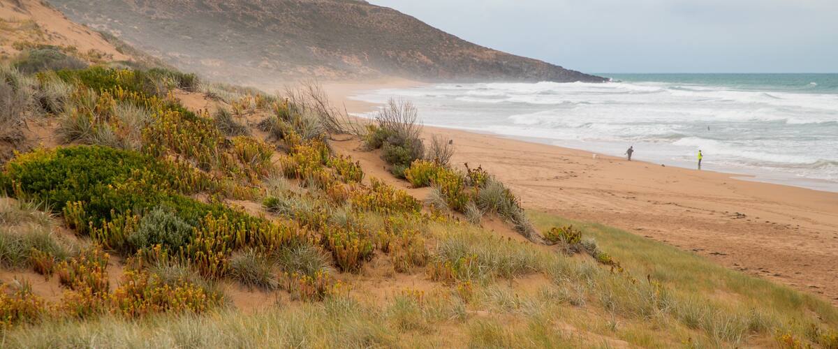 A coastal landscape with a sandy beach, green shrubs, and a rocky hillside.
