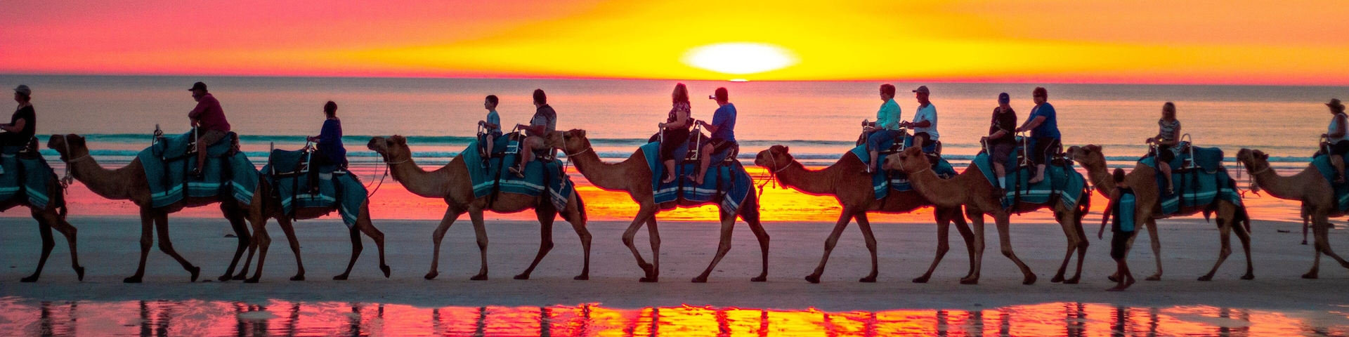 Camel Safari at sunset at Cable Beach