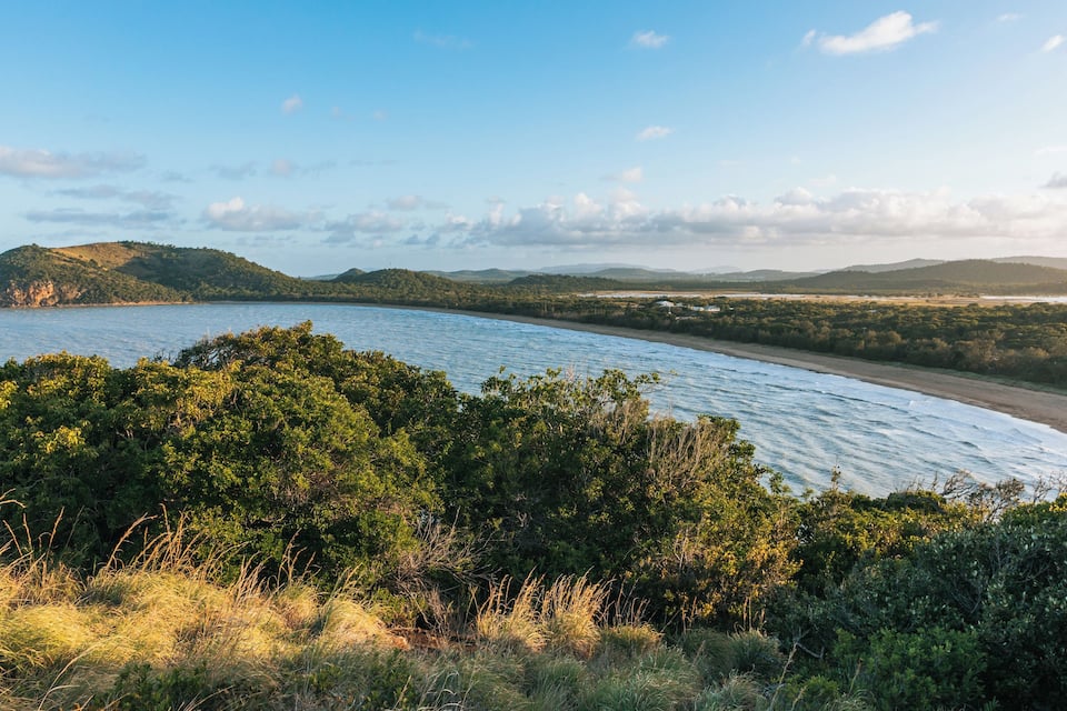 Paesaggio costiero con spiaggia, vegetazione fitta e colline in lontananza.