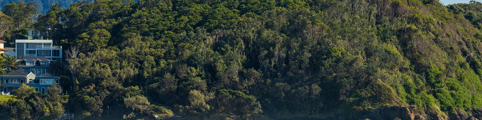 Little Diggers Beach featuring general coastal views and surfing