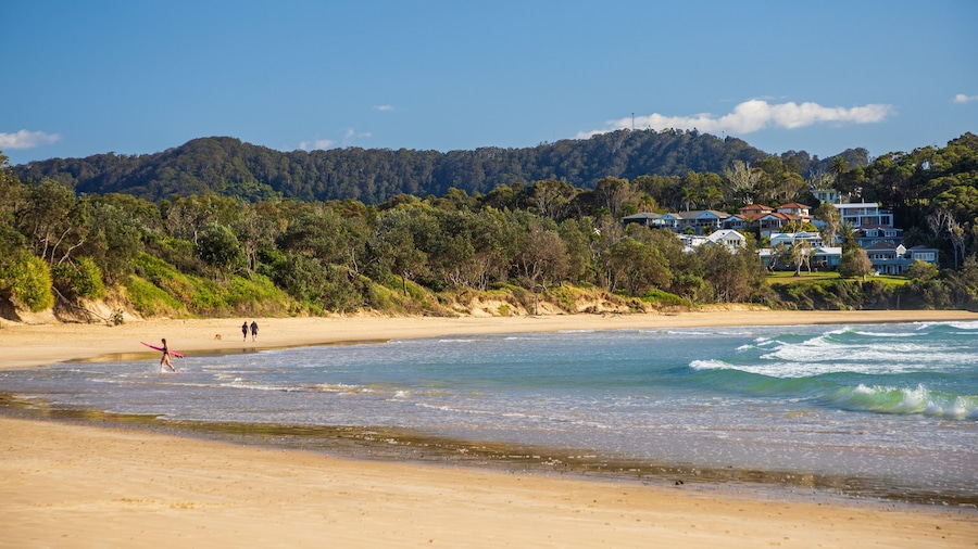 Little Diggers Beach which includes a beach and general coastal views