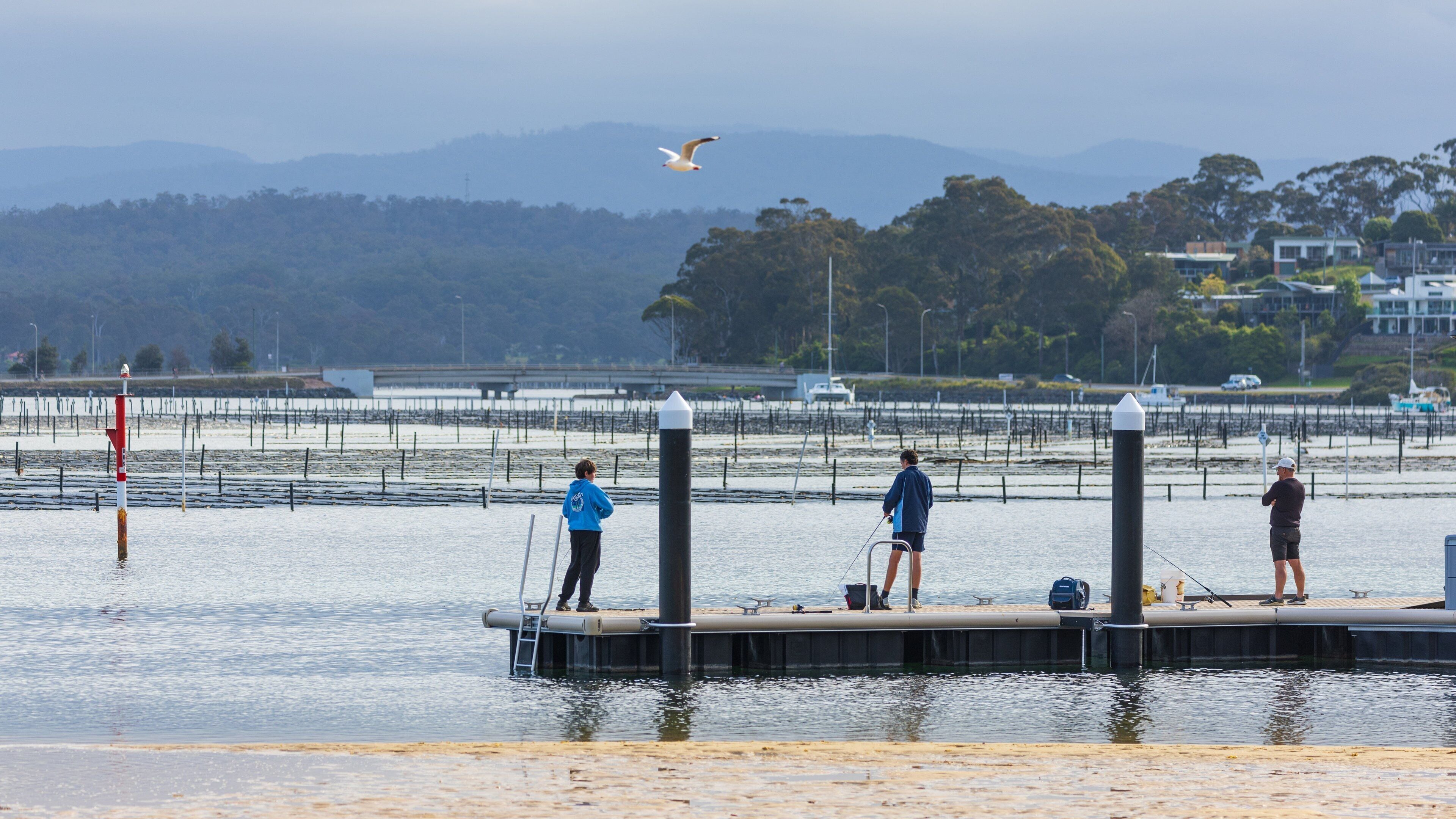 Bar Beach featuring fishing as well as a small group of people