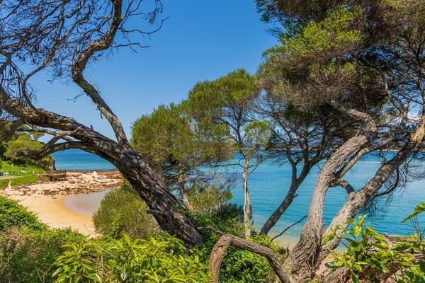 A coastal landscape with a beach, clear blue sea, and dense greenery.