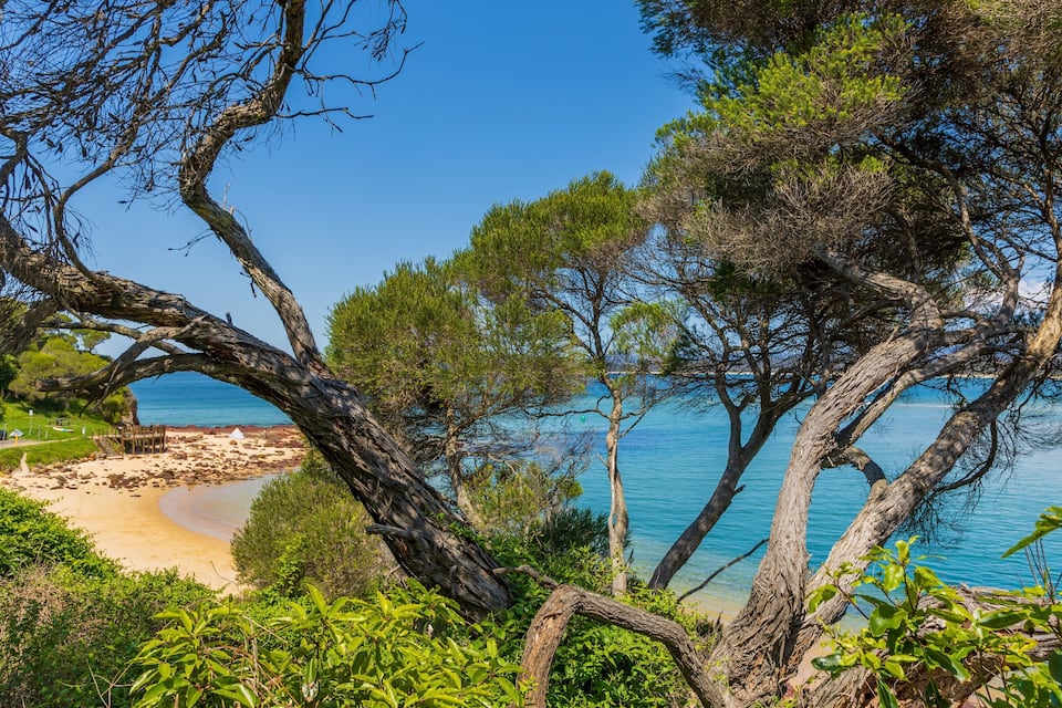 Paisagem costeira com praia, mar azul cristalino e vegetação densa.