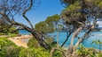 Paisagem costeira com praia, mar azul cristalino e vegetação densa.