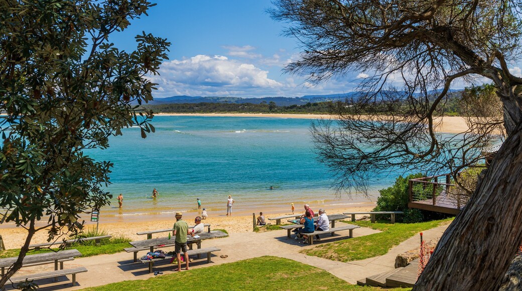 Bar Beach featuring general coastal views, a garden and a sandy beach