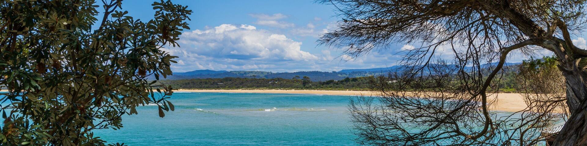 A beach with clear blue water, picnic tables, and people enjoying the scenery.