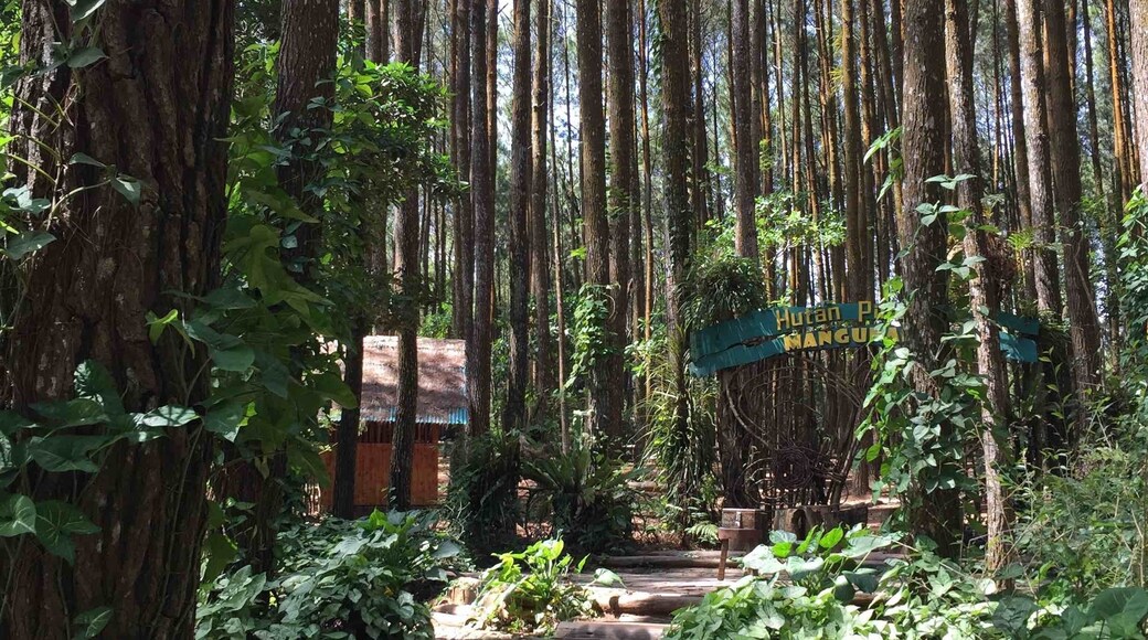 if you have the great desire you will see the way.