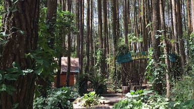 if you have the great desire you will see the way.