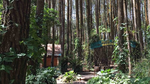 if you have the great desire you will see the way.