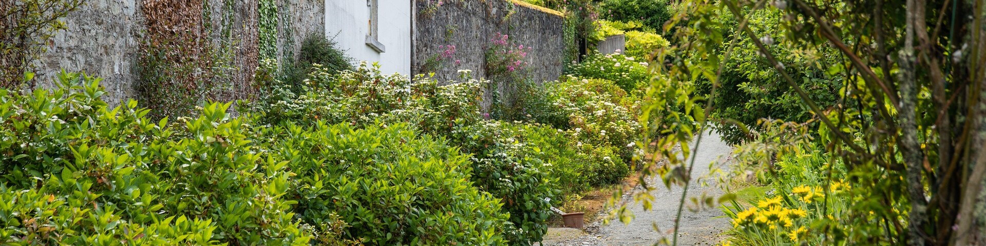 Mount Congreve Gardens featuring a garden