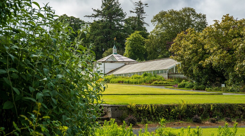 Mount Congreve Gardens featuring a park
