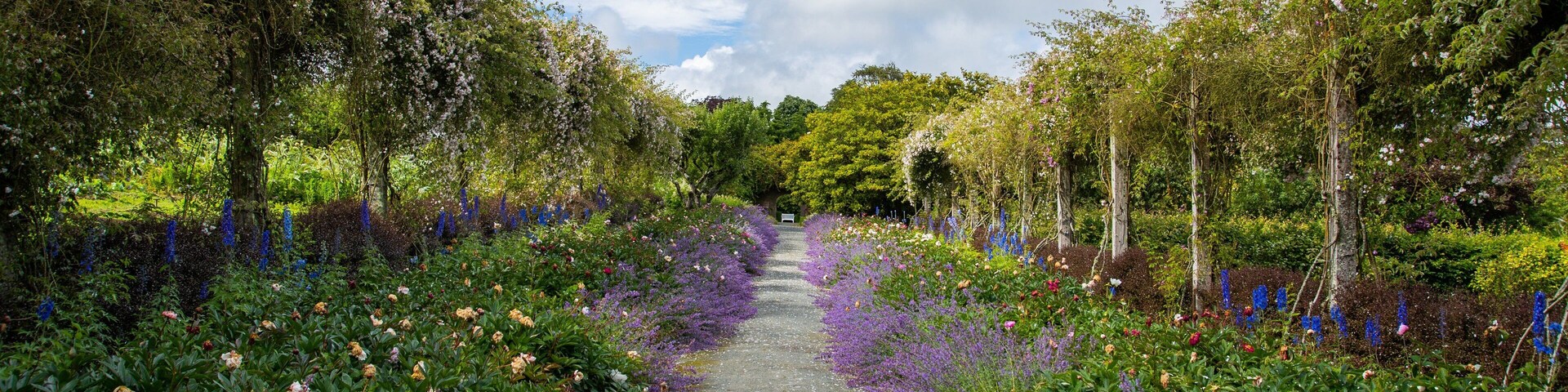 Mount Congreve Gardens showing a park and wildflowers