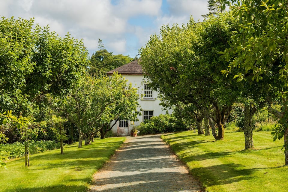A pathway leading to a white building surrounded by lush green trees.