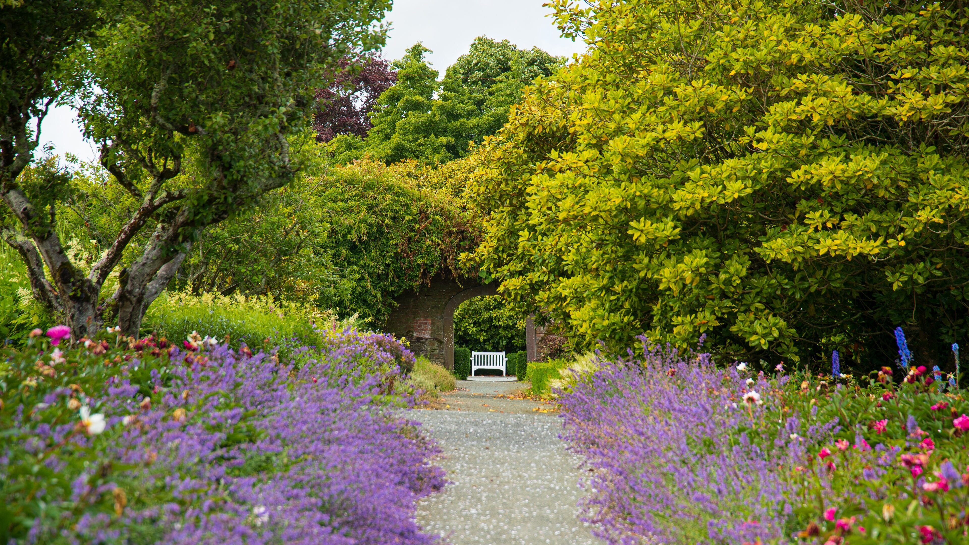 Mount Congreve Gardens which includes wildflowers and a park