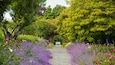 Mount Congreve Gardens which includes wildflowers and a park