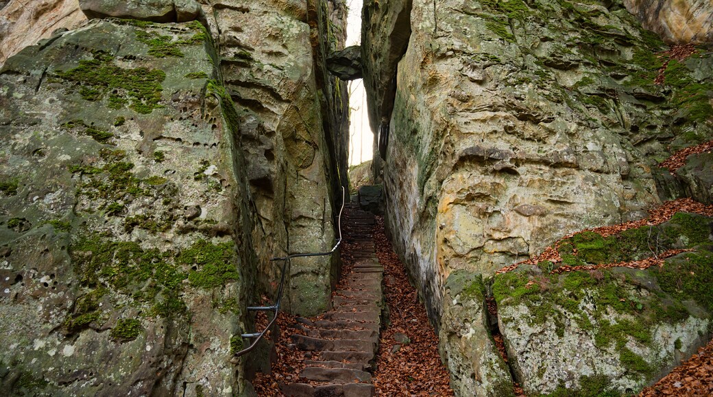 Parque natural Teufelsschlucht