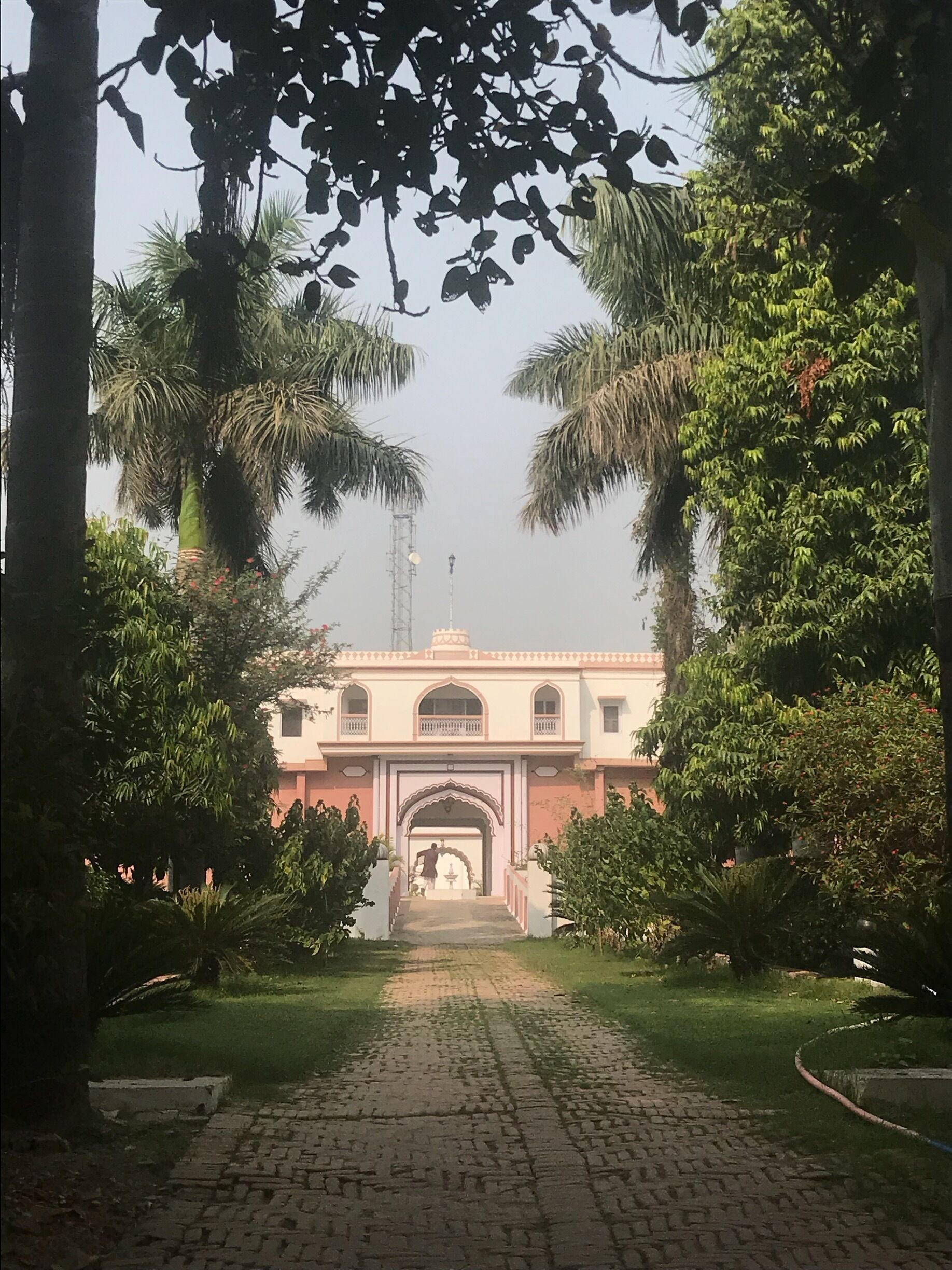 A paved pathway leading to a building with an arched entrance, surrounded by lush greenery and palm trees.