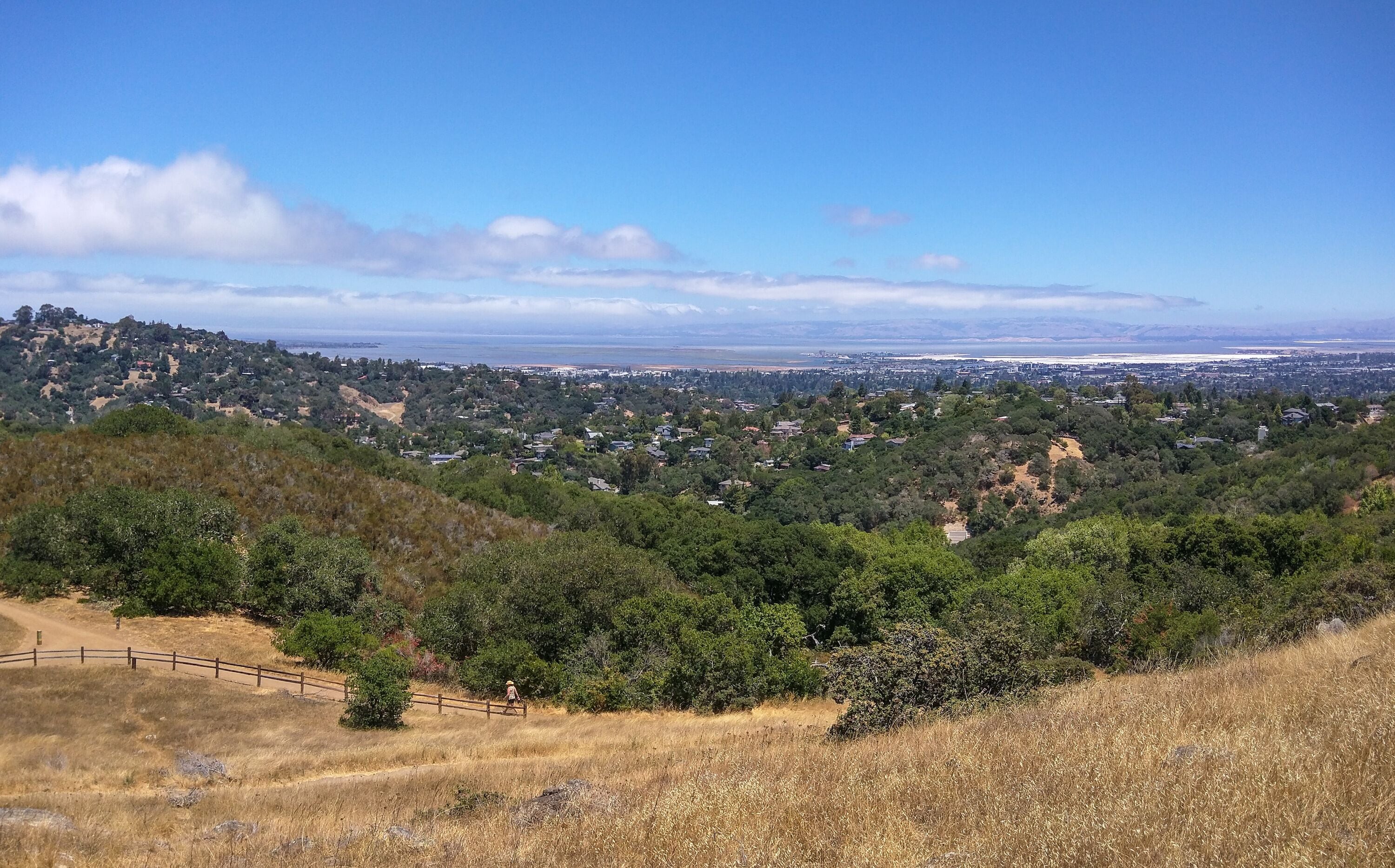 Silicon Valley View