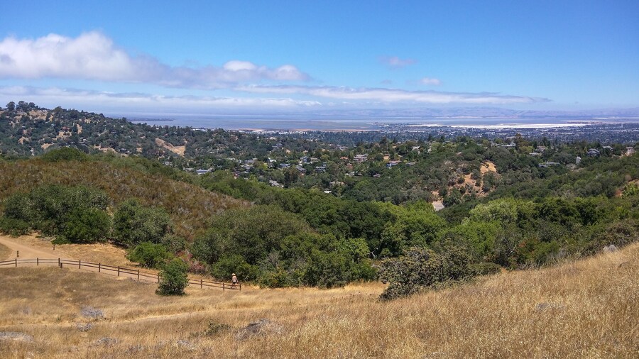 Silicon Valley View