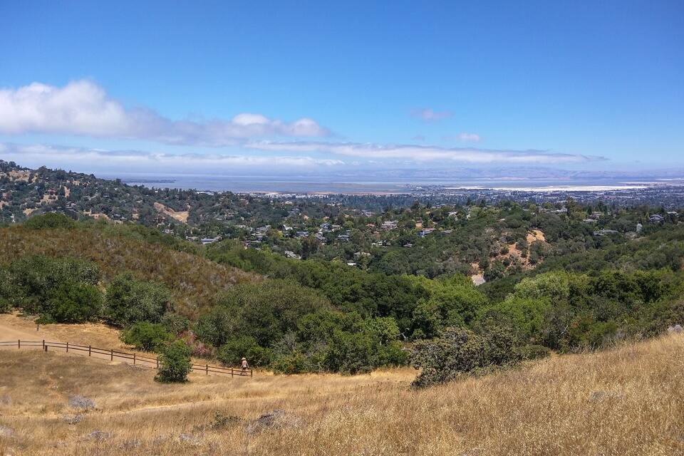 A hilly landscape with a mix of green trees and dry grass, a wooden fence, and a distant view of a city and coastline.
