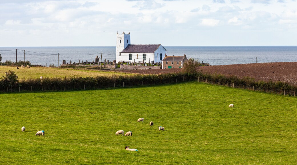 앤트림 해안과 계곡들