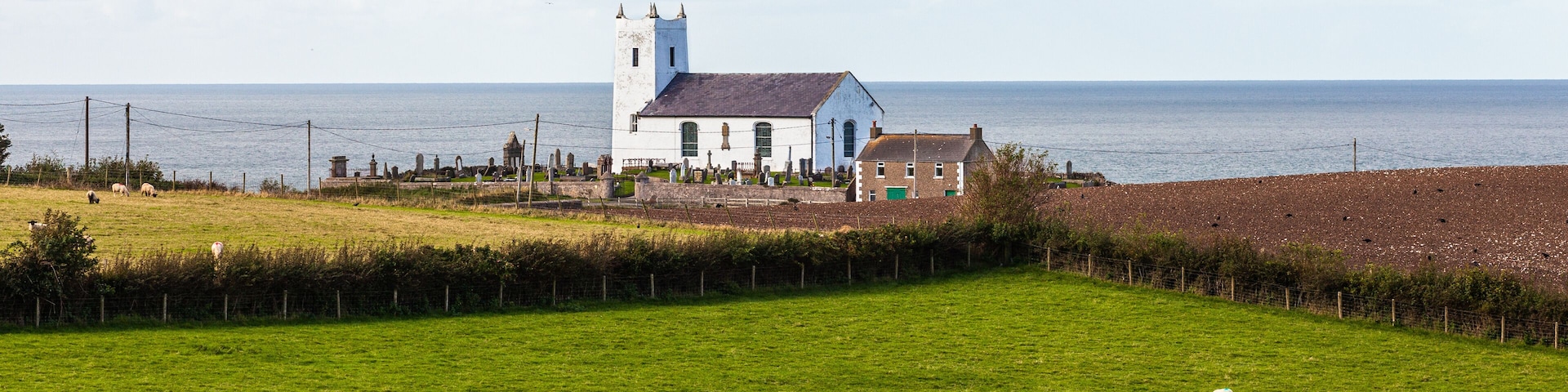 Sheep grazing in a field with Ballintoy Church in the background. The church is on the Antrim Coast also known as the Causeway Coast