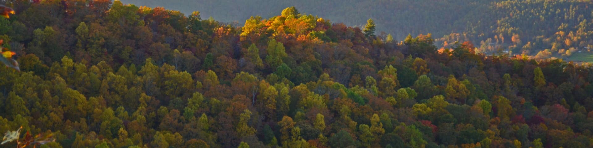 autumn landscape in the mountains