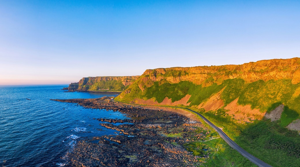 Bờ biển Causeway