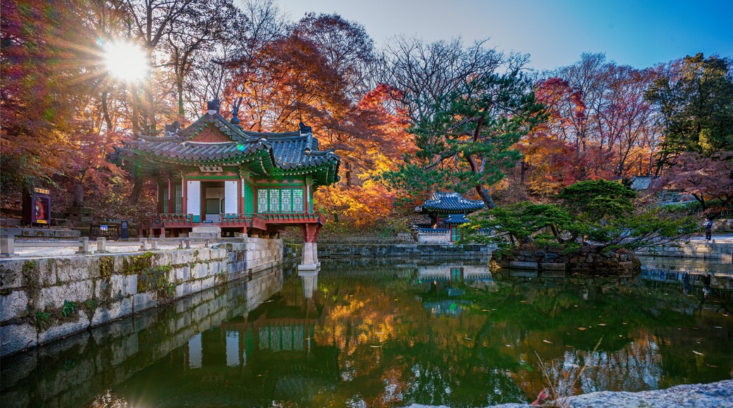 Gardens, Ponds, Pavilions and Fall Foliage at Changdeokgung Palace in Seoul Korea
