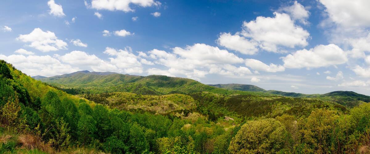A lush green landscape with rolling hills and a clear blue sky with scattered clouds.