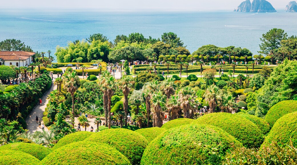Oedo Botania