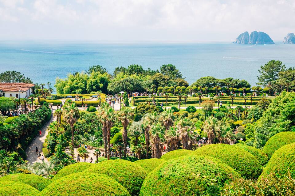 Un jardín costero con setos cuidados, palmeras y vistas al mar e islas distantes.