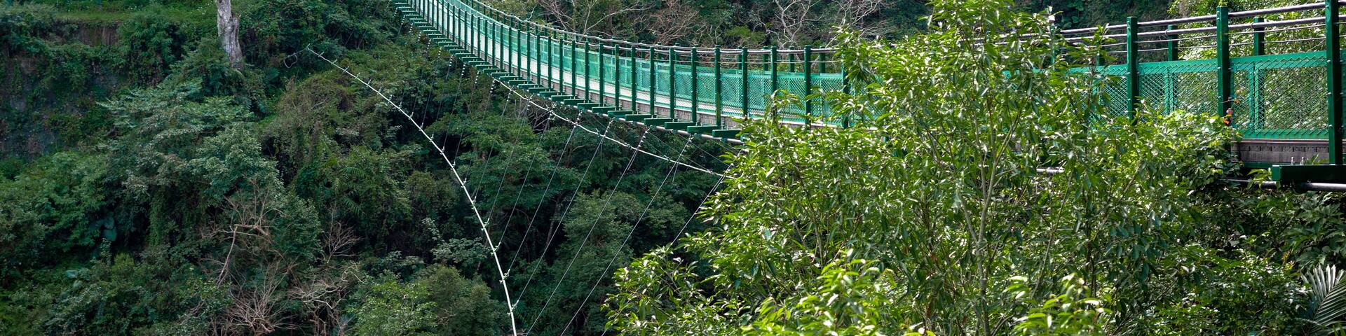 A long green suspension bridge spans a forested canyon. It's a sunny day on the Walami Trail in Yushani National Park in Taiwan near Yuli.