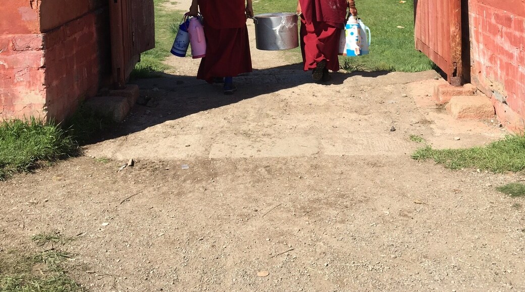 This is a working monastery way out on the steppes. It takes at least a couple of day’s to drive out there along barely-there tracks from Ulaanbaatar. The monks are carrying what they need to prepare milk tea, a quintessential beverage out in the steppes.