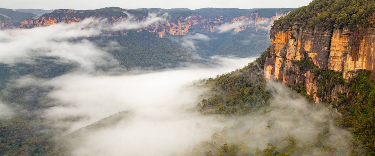 Govetts Leap lookout featuring a gorge or canyon, mist or fog and tranquil scenes