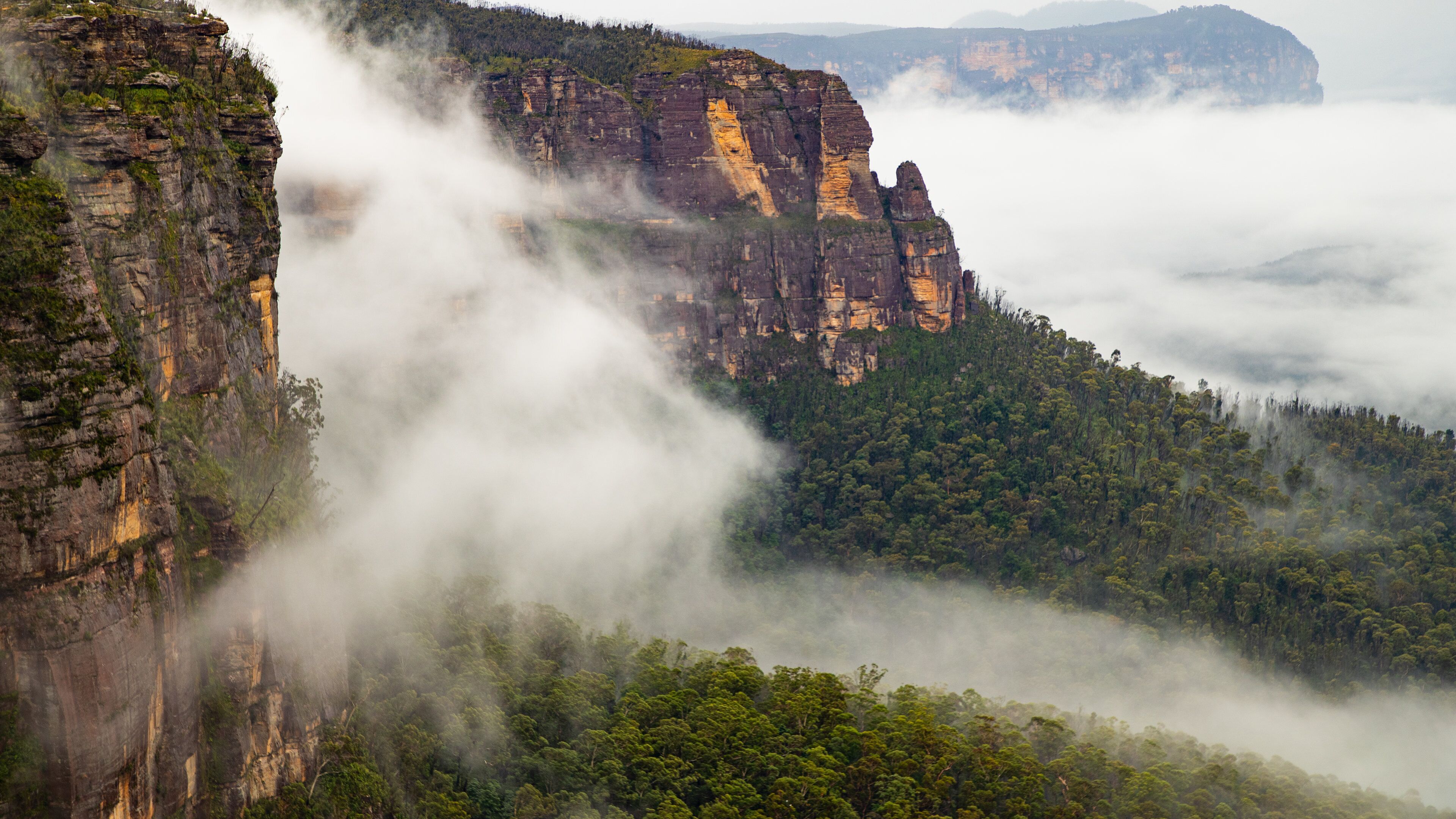 Govetts Leap lookout featuring landscape views, a gorge or canyon and mist or fog