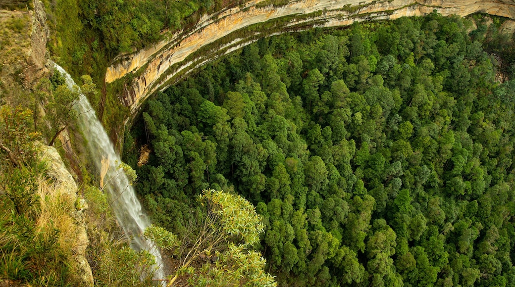 Govetts Leap lookout which includes forests and tranquil scenes