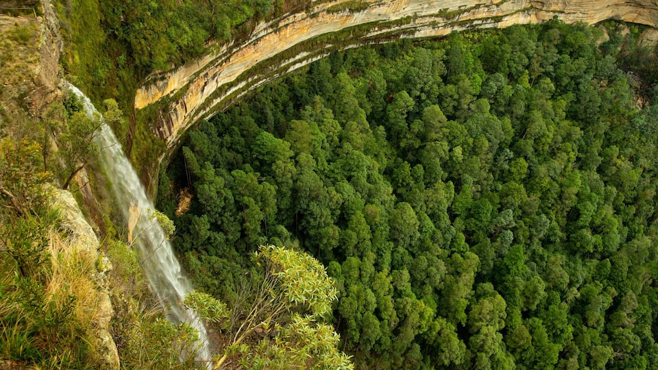 A waterfall cascading down a cliff into a dense forest.